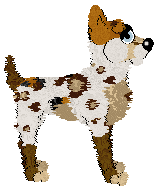 Sz/Witz's A Little Overdone — “Toast”