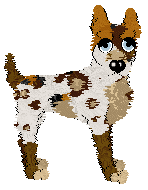 Sz/Witz's A Little Overdone — “Toast”