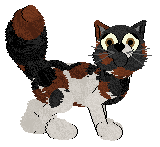 Spellbound/Winter's Apple Pie of My Eye — “Apple Galette”