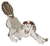 Aniseed/Calluna's Winsome Glance — “Chervil”