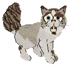 Aniseed/Calluna's Winsome Glance — “Chervil”