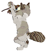 Aniseed/Calluna's Winsome Glance — “Chervil”