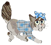 Aniseed/Calluna's Winsome Glance — “Chervil”