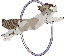 Aniseed/Calluna's Winsome Glance — “Chervil”