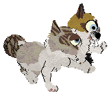 Aniseed/Calluna's Winsome Glance — “Chervil”