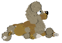 Rho/Poppyhill's Taste de Nouvelle — “Amusebouche”