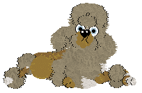 Rho/Poppyhill's Taste de Nouvelle — “Amusebouche”