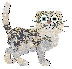 FK/Calluna's Wildest Dreams — “Meredith”