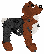 Spellbound Red Barchetta at Poppyhill — “Claret”