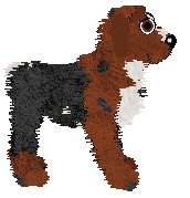 Spellbound Red Barchetta at Poppyhill — “Claret”