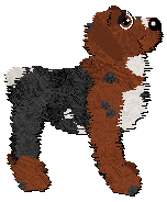 Profile image of Spellbound Red Barchetta at Poppyhill