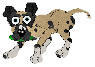 Sz's Happy Returns @ Mockingbird — “Jolly”