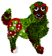 Tangle's Lit Up Like a Christmas Tree — “Christmas Tree”