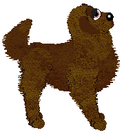 HK's Victory May Cost Too Much at Tanglewood — “Lysander”