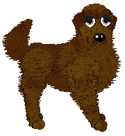 HK's Victory May Cost Too Much at Tanglewood — “Lysander”