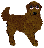 HK's Victory May Cost Too Much at Tanglewood — “Lysander”