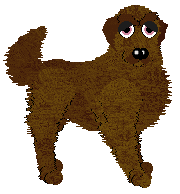 HK's Victory May Cost Too Much at Tanglewood — “Lysander”