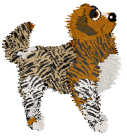 Profile image of HK/Tangled's Ballpark in Boston