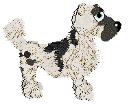 Funfetti's Christmas Dinner at Tanglewood — “Scoff”