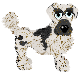 Funfetti's Christmas Dinner at Tanglewood — “Scoff”