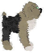 Phantasm/Tangled's Most Authentic Dog — “Factor”