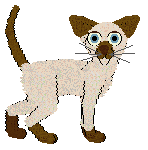 Cargo/Tangled's Love Me Back — “Jonquil”