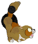 Entwined Love's Sweetheart Amaryllis — “Millie”