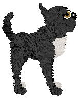 Witz's Secret Playable Character — “Bleu”