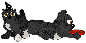 Profile image of Witz's Secret Playable Character