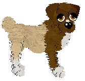 Witz's Boche Doggy — “Bow”