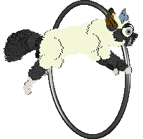 SDX's Save Your Fork at Mythic Silence — “Pastry”