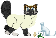 Profile image of SDX's Save Your Fork at Mythic Silence