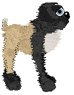 Witz's Prophecy of Black Wings — “Nina”