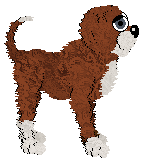 Witz's Coursair Gladiator — “Katt”