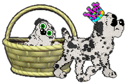 Profile image of Witz's Disastrous Campaign