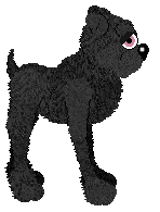 Witz's Traveling Circus Trap — “Spar”