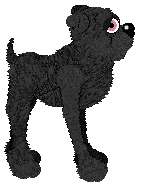 Witz's Traveling Circus Trap — “Spar”