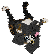 Funfetti/Poppyhill's In Times of Trouble — “Amigo”