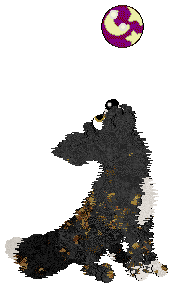 Funfetti/Poppyhill's In Times of Trouble — “Amigo”