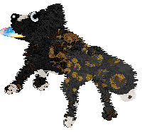 Funfetti/Poppyhill's In Times of Trouble — “Amigo”