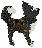 Funfetti/Poppyhill's In Times of Trouble — “Amigo”