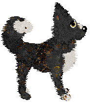 Funfetti/Poppyhill's In Times of Trouble — “Amigo”