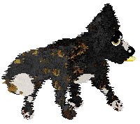 Funfetti/Poppyhill's In Times of Trouble — “Amigo”