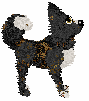 Funfetti/Poppyhill's In Times of Trouble — “Amigo”