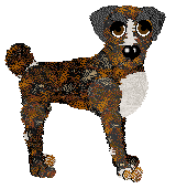 Wild Road's Isola di Caprera — “Maddalena”