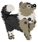 Wild Road's Lady of Arantzazu — “Arantxa”