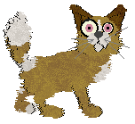 Krunchez's Toss & Turn at Wild Road — “Toss”