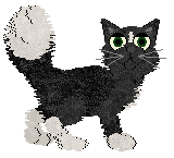 Wild Road's Tairneanach — “Tairn”