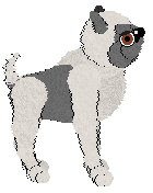 Eventide's Fields of Honey at Mythic Silence — “Bosco”