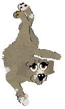 Lex/Mockingbird's Semi-Arid Climate — “Shoe Butte”